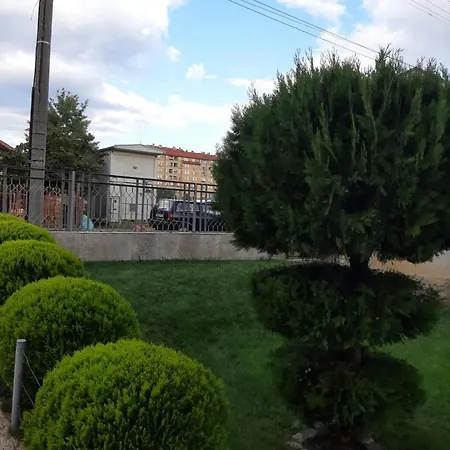 Nikolic 2 * Leskovac (Jablanica)