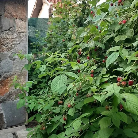 Apartamento Nikolic 2